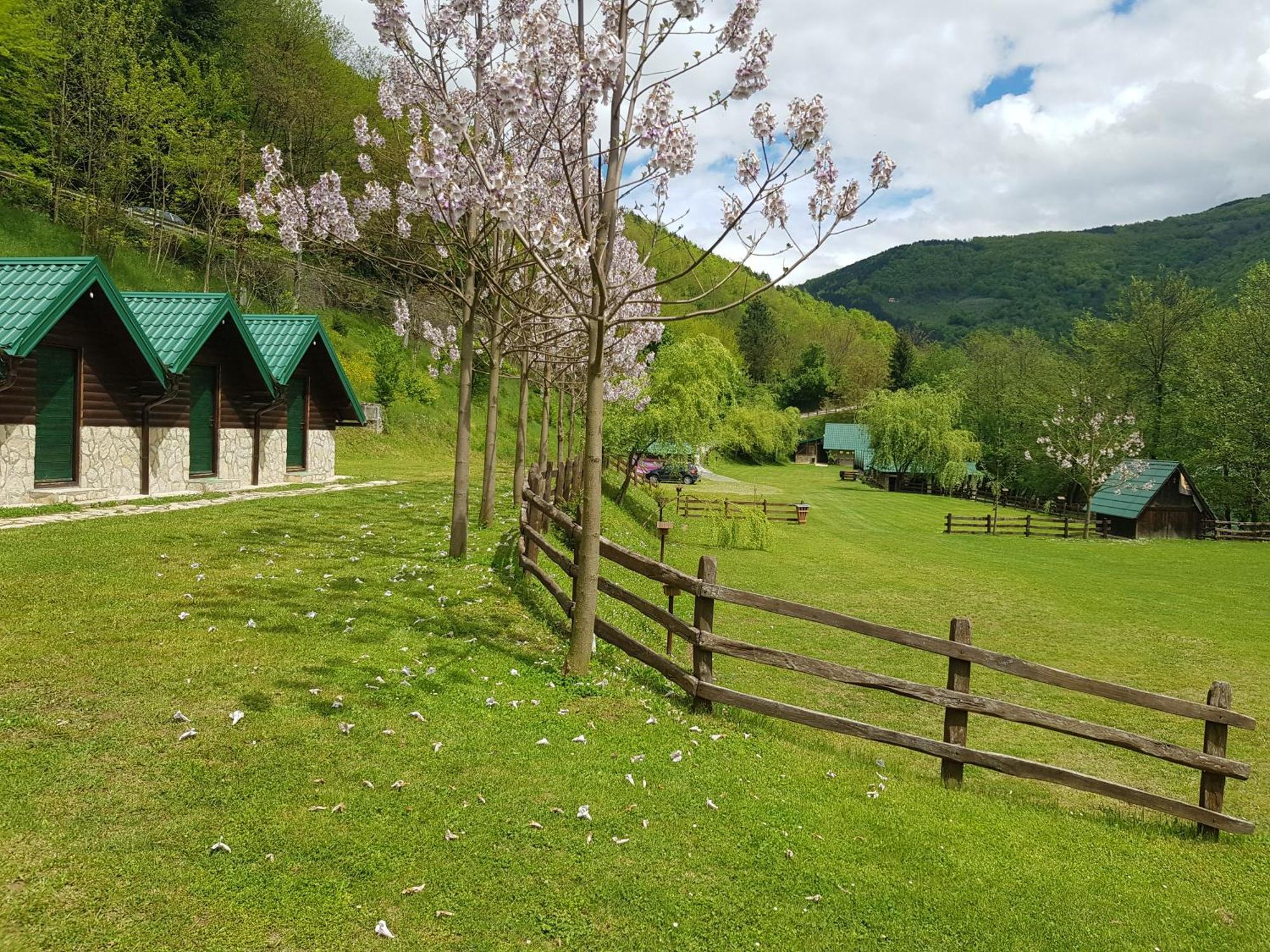 Camping Drina Foca Exteriér fotografie